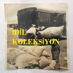 KIBRIS BARIŞ HAREKATI DÖNEMİNDEN ORİJİNAL BÜYÜK BOY FOTOĞRAFI (AÇIKLAMAYI OKUYUNUZ) - 21 x 20 cm EBADINDA - SAVAŞ SÜRECİNDE BÖLGEYE GELEN GURKA ASKERLERİNİN PİRİNÇ ÇUVALLARI TAŞIDIKLARI ANLARDAN BİR KARE