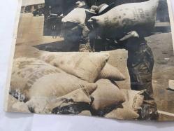 KIBRIS BARIŞ HAREKATI DÖNEMİNDEN ORİJİNAL BÜYÜK BOY FOTOĞRAFI (AÇIKLAMAYI OKUYUNUZ) - 21 x 20 cm EBADINDA - SAVAŞ SÜRECİNDE BÖLGEYE GELEN GURKA ASKERLERİNİN PİRİNÇ ÇUVALLARI TAŞIDIKLARI ANLARDAN BİR KARE