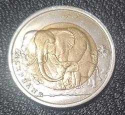 Fil (bimetal hayvanlar serisi) Çil