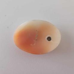 Antika Hakiki Shell Cameo 14 Ayar Beyaz Altın ve Pırlanta  Kolye veya Broş Yapılabilir (2)