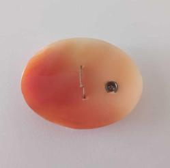 Antika Hakiki Shell Cameo 14 Ayar Beyaz Altın ve Pırlanta  Kolye veya Broş Yapılabilir (3)