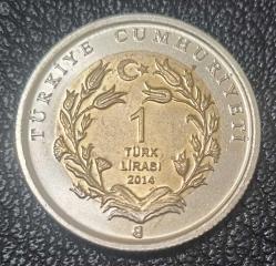 Anadolu Kartalı (bimetal hayvanlar serisi) Çil