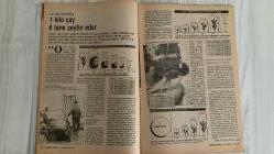 2000 İKİBİN’E DOĞRU AKTÜALİTE DERGİSİ – SAYI 25 – 18 HAZİRAN 1989 – 64 SAYFA BULGARİSTAN’DAN SINIRDIŞI EDİLEN TÜRKLER: “ÖNCE SOSYALİZM KOVULDU” – GÖÇMENLERİN TANIKLIĞI: KİMLİK, AİLE, BELLEK – BULGARİSTAN’DA TÜRK OLMAK: BİR DÖNÜŞÜMÜN HİKÂYESİ – MİT HUKUKUNUN DGM TEMSİLCİSİ SAVCI NUSRET DEMİRAL – GÖÇÜN ARDINDAN: YENİ HAYATA UYUM – GÖÇMENLERİN GÜNLÜĞÜNDEN – KADINLARIN GÜNLÜK YAŞAMI – KÜLTÜR-SANAT – SEMİH POROY – CEMAL SÜREYA – KAPAK – TÜRKİYE – DÜNYA – TOPLUM – YAZI VE ÇİZGİLERLE  NUSRET DEMİRAL – DOĞU PERİNÇEK – NECATİ CUMALI – SEMİH POROY – CEMAL SÜREYA – MELİH CEVDET ANDAY – ŞAHAP BALCIOĞLU – NİHAT BEHRAM – HALİL BERKTAY – HÜSEYİN BÜLBÜL – SERHAN BOLLUK – NEYYİR KALAYCIOĞLU – SÜLEY PERİNÇEK – ASAF GÜVEN AKSEL – ROZERİN DOĞAN – ALİ KARŞILAYAN – DENİZ KAVUKÇUOĞLU – TUNCA ARSLAN – GÜLDEN AYDIN – SEVİL BASTÜRK – ASUMAN BAYRAK – AYŞE BENGİ – TÜRKAN DEMİR – TAKİ DOĞAN – SABİHA ERDEM – KAMİL ERDOĞDU – ALİ HASDEMİR – HÜRRİYET KARADENİZ – HÜSEYİN KALKAN – NURAY MESTCİ – FENNİ ÖZALP – OĞUZ SAKAL