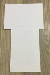 HÜSEYİN NİHAL ATSIZ FOTOĞRAFI ( 2 ADET )