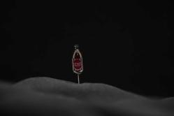 Tosti Şarap Şişesi Rozeti