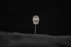 Staatsoper Wien Rozeti