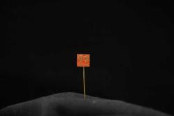 Beatrix & Claus Kraliyet Rozeti – 1960’lar