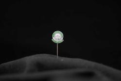 J. Smallenbroek Anı Rozeti – 1960’lar