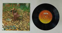 NİLÜFER * NE OLACAK ŞİMDİ * PİŞMAN OLACAKSIN * 45LİK PLAK