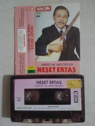 NEŞET ERTAŞ NERDE NE ARIYORSUN SEN OLMAYINCA  ERCAN   NADİR BASKI