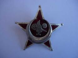 Çanakkale Savaşı Osmanlı 1, Dünya Savaşı Harp Madalyası