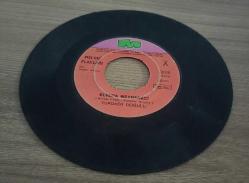 YURDAER DOĞULU-ELVADA MEYHANECİ