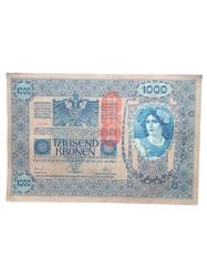 1902 AVUSTURYA 1000 KRON  YABANCI KAĞIT KOLEKSİYON PARA LOTU.