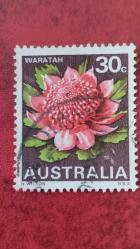 LOT.12 » AVUSTURALYA ÇİÇEKLER DAMGALI ŞARNİYERSİZ