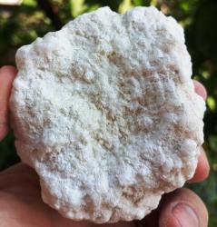 Pamuk İpliği Üleksit Kristal Küme Kalsiyum Bor Minerali