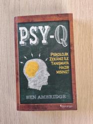 PSY-Q - PSİKOLOJİK ZEKANIZ İLE TANIŞMAYA HAZIR MISINIZ - BEN AMBRİDGE