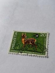 İsviçre(Helvetia)          Animal protection - Hayvanları koruma