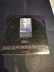 Nilüfer sensiz olmaz plak