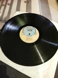 Nilüfer sensiz olmaz plak