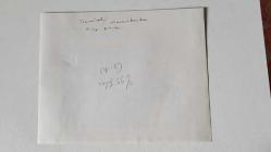 TÜRKİYE CUMHURİYETİ 9. CUMHURBAŞKANI SÜLEYMAN DEMİREL'İN AJANS-BASIN FOTOĞRAFI (KAĞIT BASKI) - 21 x 17 cm EBADINDA - SÜLEYMAN DEMİREL ve MACARİSTAN CUMHURBAŞKANI ARPAD GÖNCZ AYNI KAREDELER. 1994