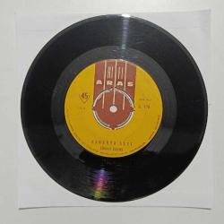 Kuş sesleri kanarya sesi  1-2