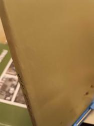 Zebanı Farisi - معلم فیضی  زبان فارسی