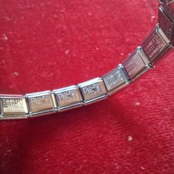 Nomination Italy Çelik Bileklik Orjinal,Gold  'E' charm,18 link