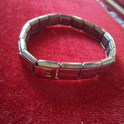 Nomination Italy Çelik Bileklik Orjinal,Gold  'E' charm,18 link