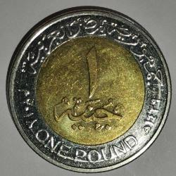 MISIR  2018  1  POUND