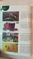 A'DAN Z'YE GIDA VE EKOLOJİK YAŞAM DERGİSİ - KASIM-ARALIK 2012 SAYI: 5  GÜLFİDAN DEMİR - ALİ KAYA - METİN YURDAGÜL - AHMET ATALAY - SEÇKİN AYDIN - TUFAN BOZKURT - ALİ KEMAL DOĞANAY - CEM GÜLDEMİR - MELİSA KOÇ - MEHMET REİS - DOĞAN HALİS - ŞULE BAYDAŞ - HARUN RAŞİT UYSAL - BÜLENT NAZLI - DİLARA NİLÜFER ERDİL - UFUK UYSAL - METİN YURDAGÜL - ALİ BATU  GÜVENİLİR GIDANIN EN ÖNEMLİ KOŞULU HİJYEN - GIDA SAĞLIĞI SADECE DEVLET DENETİMİNDE OLMAMALI - TEFAL VE UNICEF’TEN ÇOCUKLARI GÜLÜMSETEN İŞBİRLİĞİ - BARİLLA’DAN TÜRK SPORUNA DESTEK - REİS GIDA OBEZİTEYLE MÜCADELE EDİYOR - SARAY 2023 HEDEFİNİ BELİRLEDİ - SELVA LEZZET ŞENLİĞİ - BESLENME DOSTU OKUL BAKIRKÖY FATİH KOLEJİ - DOMİNO’S PİZZA 10.000. ŞUBESİNİ AÇTI - BESLENME ÇANTASINDAN FINDIK VE CEVİZİ EKSİK ETMEYİN - SÜS BİTKİLERİ SEKTÖRÜ ORTAK AKIL TOPLANTISI - KÜRESEL GIDA KRİZİ GELİYOR - MANDIRALARIN DERDİ ÇOK - KRAFT FOODS İKİYE BÖLÜNDÜ - ÇA-BA’NIN 27. DURAĞI AYDIN - BAMYA YETİŞTİRİCİLERİ YARIŞTI - KUSURLU ARAŞTIRMALA - TAM TAKIM EKSİKSİZ 68 SAYFA