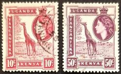 +++ TANGANYIKA KENYA UGANDA ZÜRAFALAR     1954        - DAMGALI
