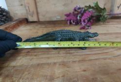 Alman Malı - Timsah - Çok Sert Malzeme Oyuncak Tİmsah Biblo