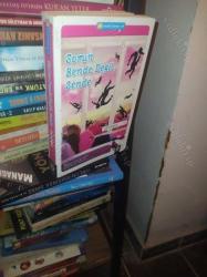 SORUN BENDE DEĞİL,SENDE PINK FREUD