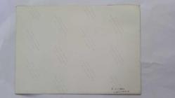 ROMALI PERİHAN'IN (PERİHAN BENLİ) ORİJİNAL 2'Lİ FOTOĞRAF SETİ  - 17,5 x 11,5 cm EBADINDA - ROMALI PERİHAN, YURT DIŞI GEZİ TURUNDAYKEN (RUSYA LENİNGRAD) ÇEKİLMİŞ ÇOK NET KALİTEDE 2 FARKLI HATIRA FOTOĞRAFI. 3 OCAK 1989. RUS KADINLAR GELENEKSEL KOSTÜMLERİYLE...