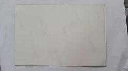 ROMALI PERİHAN'IN (PERİHAN BENLİ) ORİJİNAL 2'Lİ FOTOĞRAF SETİ  - 14,5 x 10 cm EBADINDA - ROMALI PERİHAN, 3. EVLİLİĞİNİ YAPTIĞI ALMAN EŞİ B. BENSAN İLE BİR DAVETİYEDE YER ALIRKEN ÇEKİLMİŞ 2 FARKLI HATIRA FOTOĞRAFI... ÖZEL ARŞİV