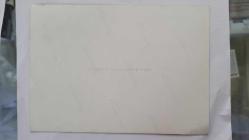 ROMALI PERİHAN'IN (PERİHAN BENLİ) NİKAH TÖRENİNİN ORİJİNAL 3'LÜ FOTOĞRAF SETİ  - 18,5 x 13 cm EBADINDA - ROMALI PERİHAN, 3. EVLİLİĞİNİ YAPTIĞI ALMAN EŞİ B. BENSAN İLE EVLENİRKEN NİKAH TÖRENİNDE ÇEKİLMİŞ 3 ÖZEL HATIRA FOTOĞRAFI... DAVETLİLER ARASINDA FATMA GİRİK ve AVUKAT HÜSEYİN RAHMİ ÖZKAN DA YER ALDI. ÇOK NET KALİTEDE ORİJİNAL BASIM FOTOĞRAFLAR. ÖZEL ARŞİV...