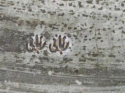 Muazzam Antika Osmanlı Dönem Damgalı Yığma Kenar Bakır Sini - Tepsi