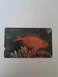 TÜRK TELEKOM DENİZ CANLILARI KOCAGÖZ DENEME KARTI