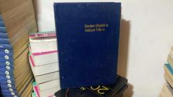 Ateşten Gömlek  - Seviyye Talip