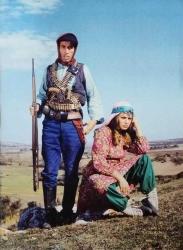 DAVARO FİLMİNİN LOBİ KARTI / KARTPOSTALI - KEMAL SUNAL, ŞENER ŞEN, PEMBE MUTLU, ADİLE NAŞİT, AYŞEN GRUDA