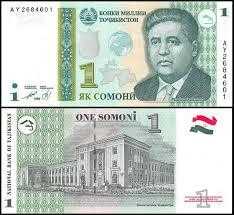 TACİKİSTAN ( 1 * SOMONİ ) 1999 - ÇİL