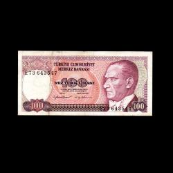 TÜRKİYE (1984) - 100 Lira (ÇT 7,0/10)