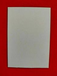 Galatasaray Resmi Dergisi - Cihan Haspolatlı Kartpostal - 2006/2007 Sezonu - Baskı İmzalı - 13x9 cm