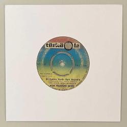 Aşık Mahzuni Şerif Şikayetim Vardır Aşık Veysel'e - Bir Milletin Şerefini Üzerime Aldığım Doğrudur 45 lik Plak (Orjinal Dönem Baskı Plak)