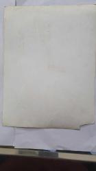 TÜRKİYE'NİN İLK TRANS DANSÖZÜ ALEV TAMARA'NIN (VELİ YAVUZ) ORİJİNAL 2'Lİ BÜYÜK BOY FOTOĞRAF SETİ - 24 x 18 cm EBADINDA - ALEV TAMARA, ORYANTAL KOSTÜMÜYLE DANS EDERKEN ÇEKİLMİŞ 2 FARKLI KARE