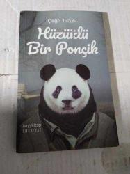 HÜZÜNLÜ BİR PONÇİK