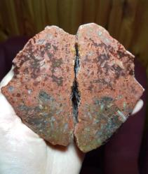 Parlak Kırmızı Çubuk Akik Dilimi - Enerji, Tutku ve Koruma İçin, Sergileme Parçası - Ağırlık: 366g - Benzersiz Koleksiyonluk Hediyelik Nadir Parça