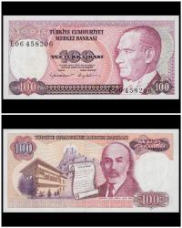 100 Türk Lirası ÇİL