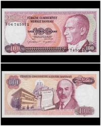 100 Türk Lirası ÇİL