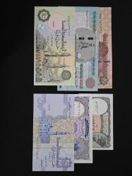 6 ADET MISIR KAĞIT PARA LOTU ÇİL